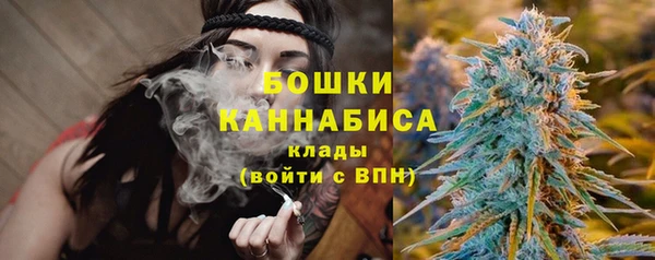 МДПВ Волоколамск